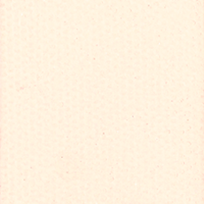 Matt Eyeshadow Ivory