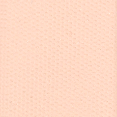 Matt Eyeshadow Beige Nude