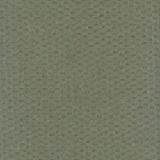 Matt Eyeshadow Army Green