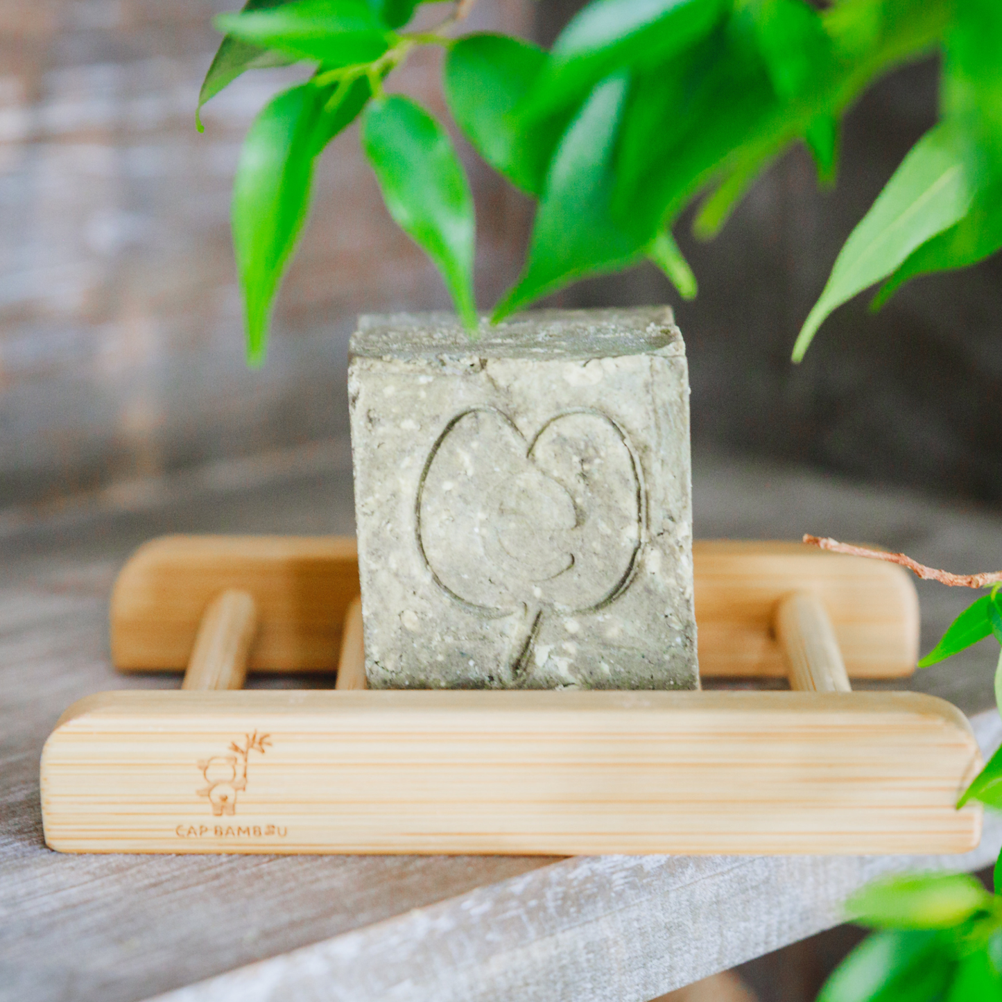Solid Soap Dish