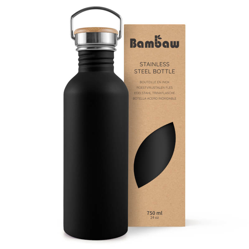 Stainless Steel Bottle