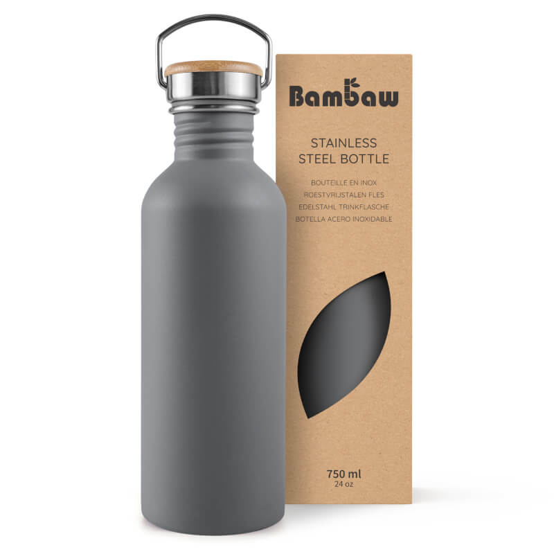 Stainless Steel Bottle