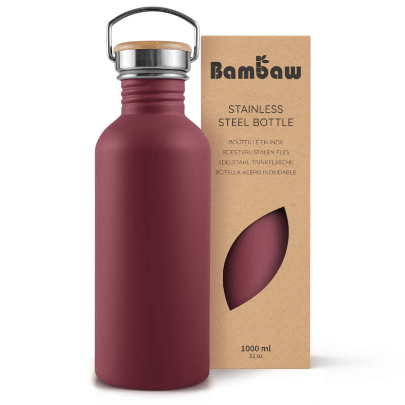 Stainless Steel Bottle