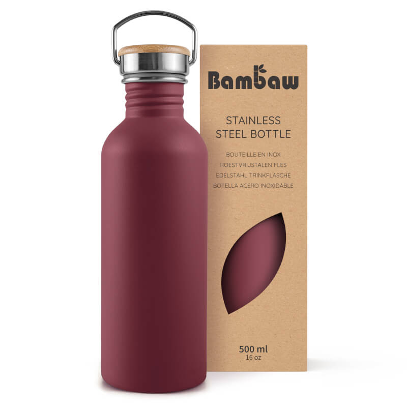 Stainless Steel Bottle