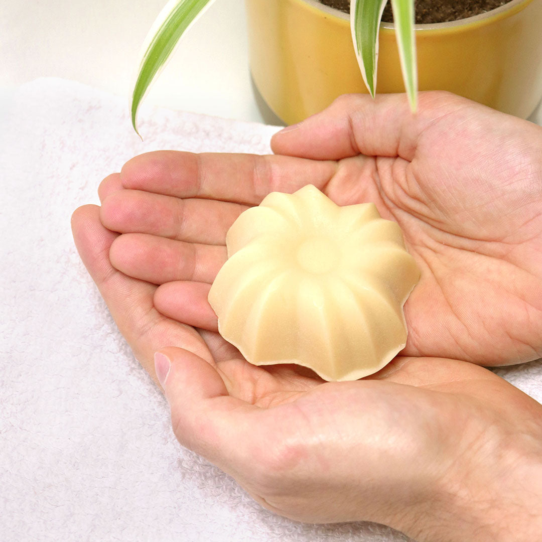 Solid Conditioner Detangling & Nourishing Care