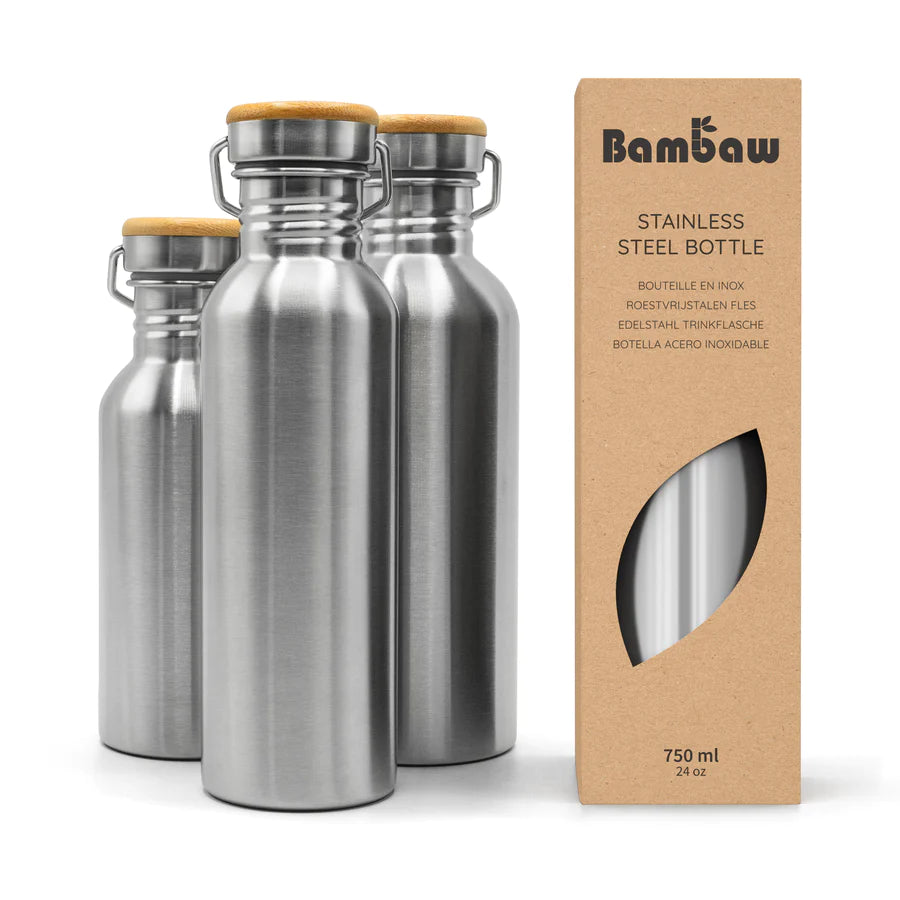 Stainless Steel Bottle