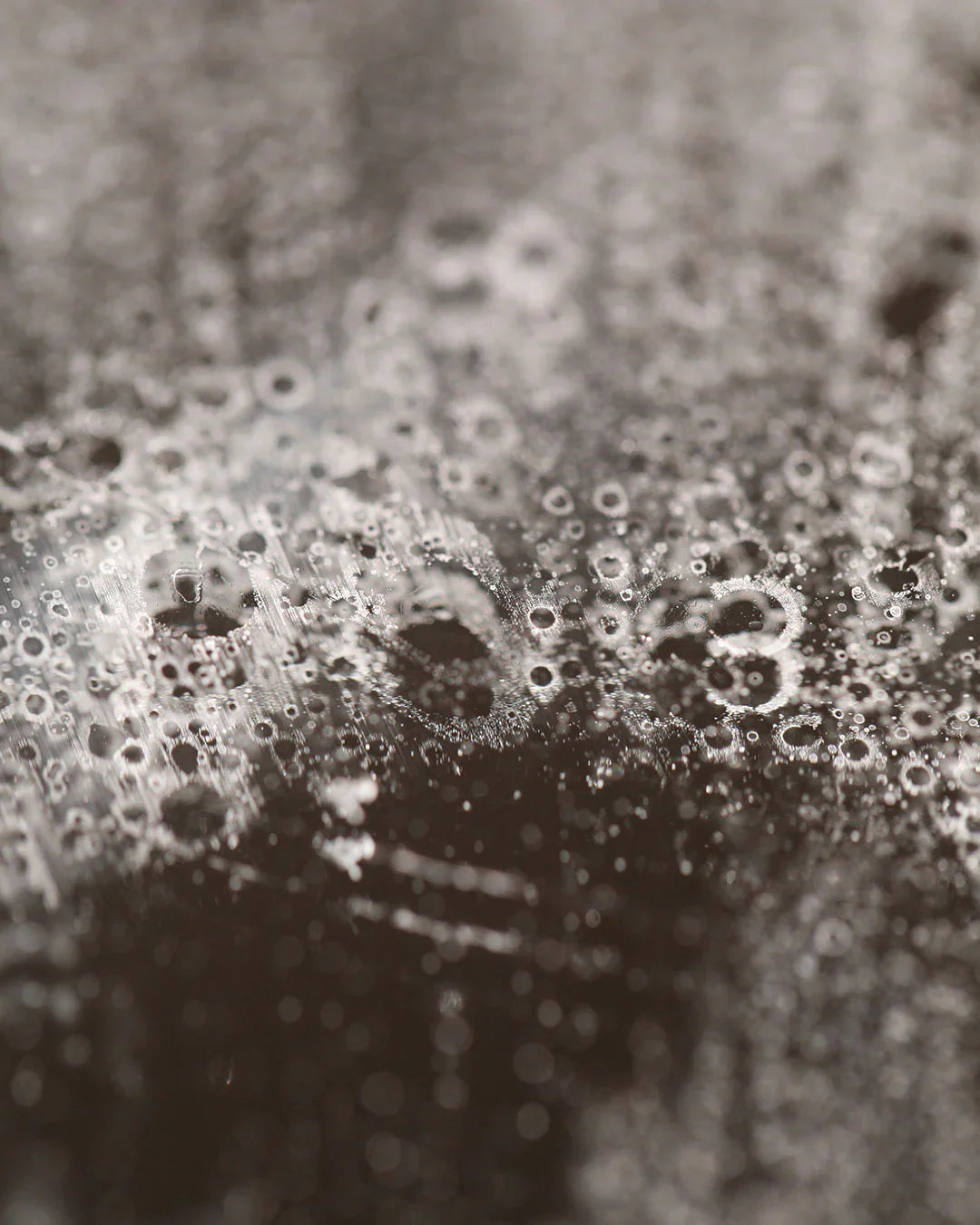 Black Aleppo Soap | Argan oil