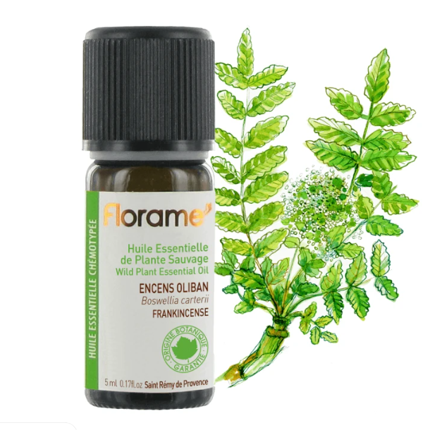 Essential Oil Frankincense
