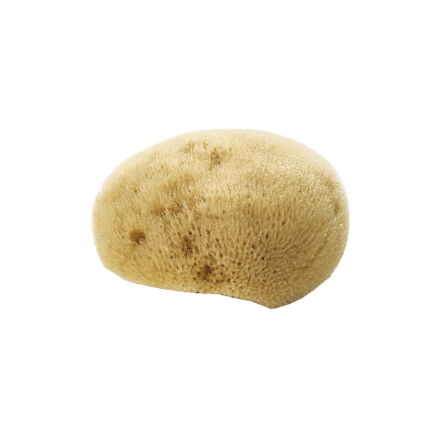 Thin Natural Face Sponge
