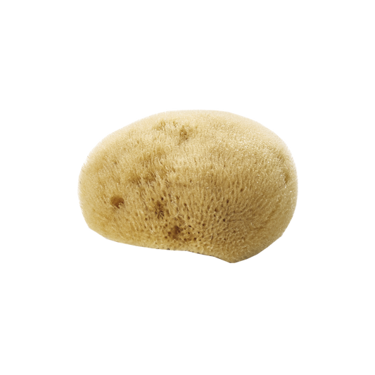 Thin Natural Face Sponge