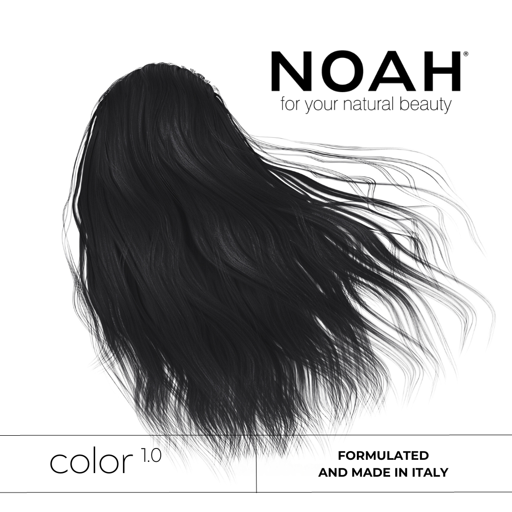 Hair Colour 1.0 Black