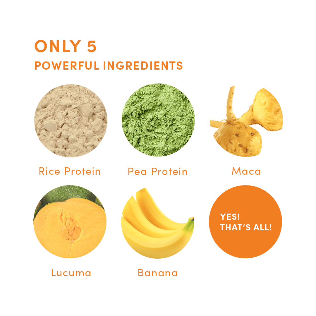 Plant Protein