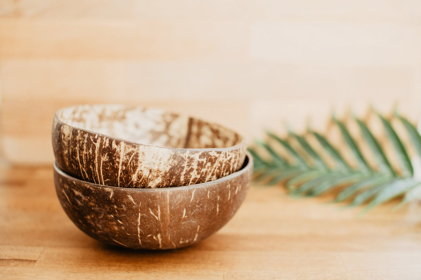 Coconut Bowl Set