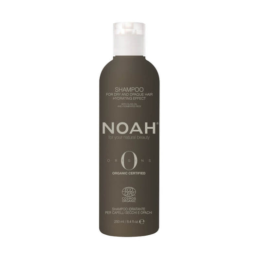 Dry & Opaque Hair Shampoo | ORIGINS