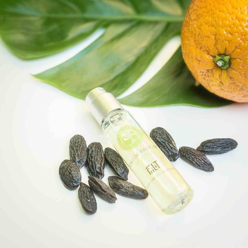 Saudade - Amazonia EDP