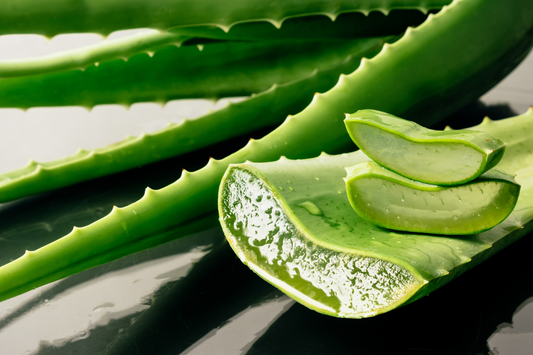 Varför Aloe Vera i hudvård?