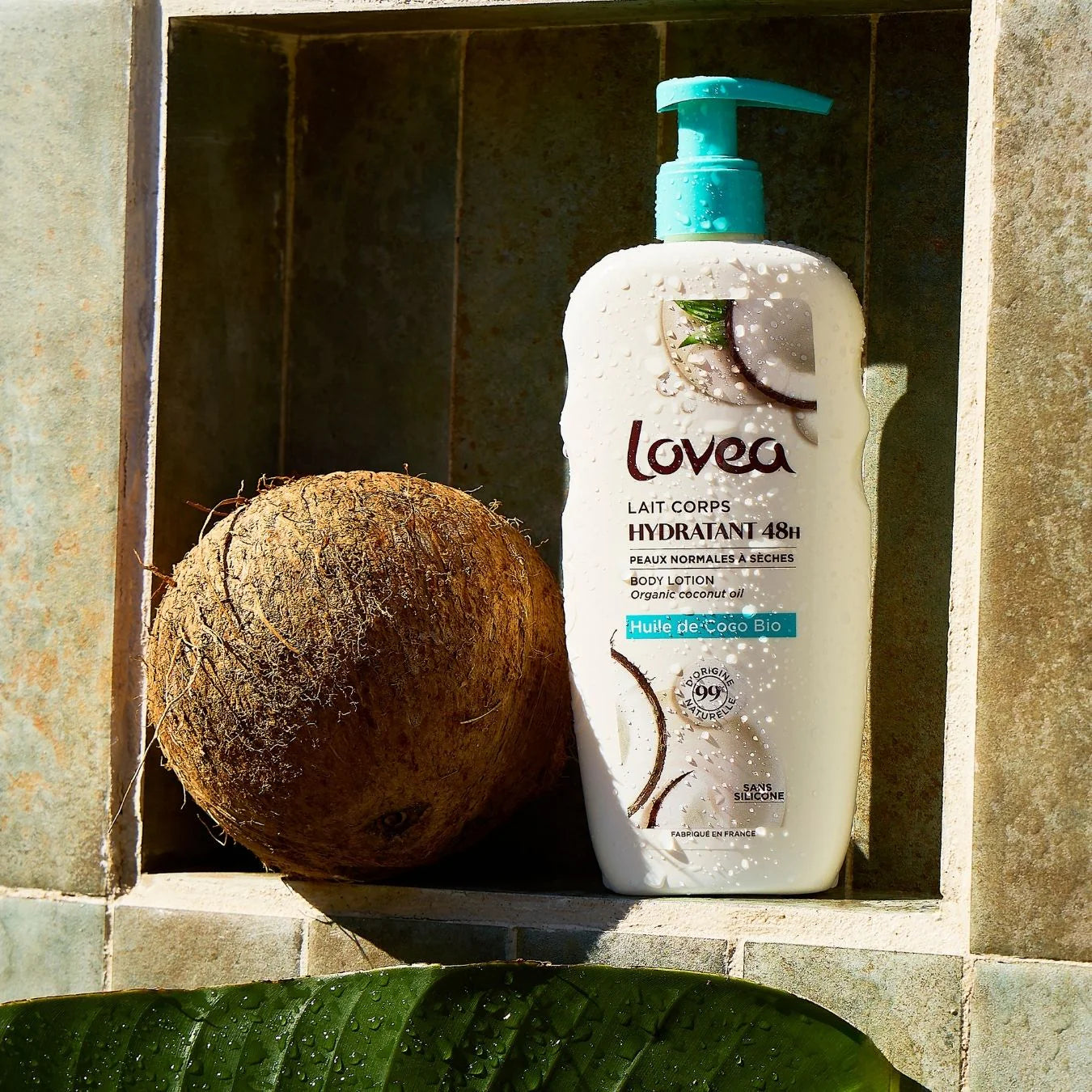 Body Lotion Organic Coconut Oil - Dry Skin