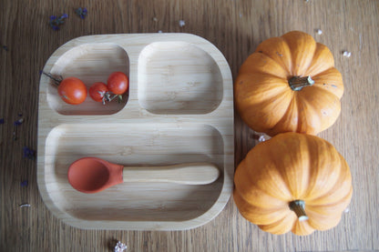 Terracotta Plate Meal Set (plate + spoon)