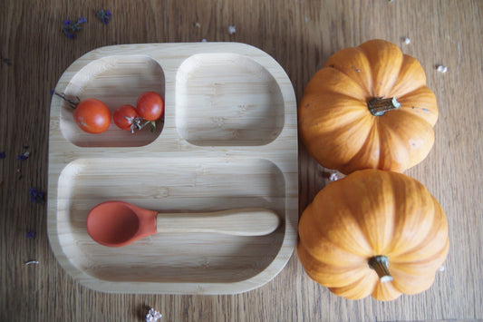 Terracotta Plate Meal Set (plate + spoon)
