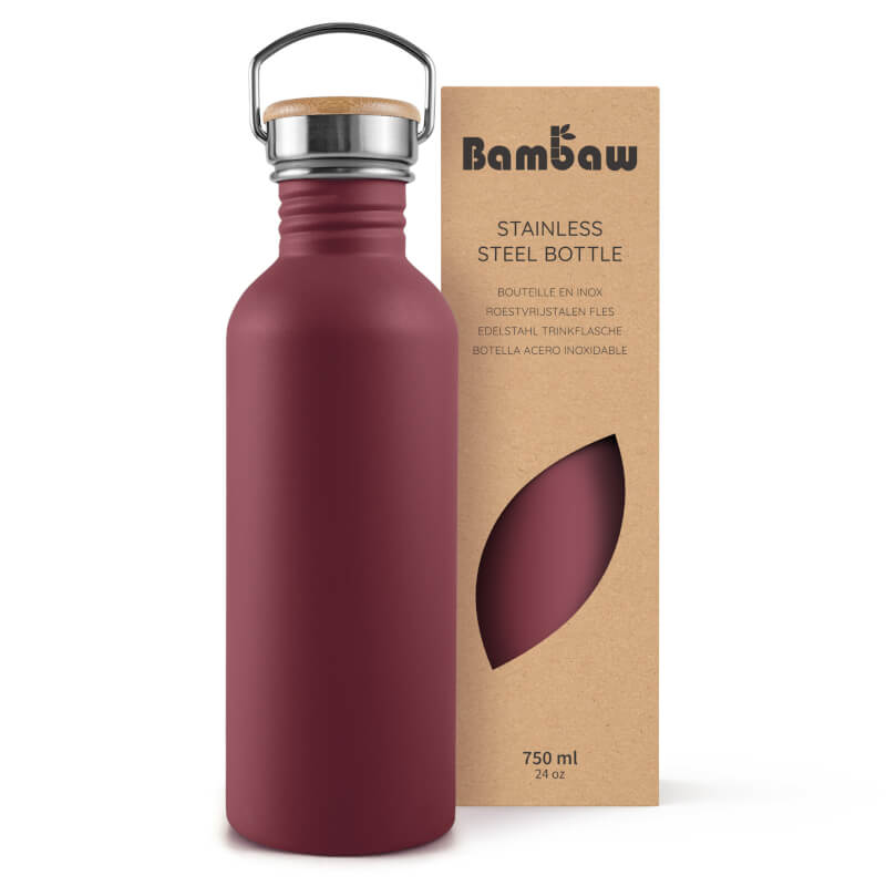 Stainless Steel Water Bottle