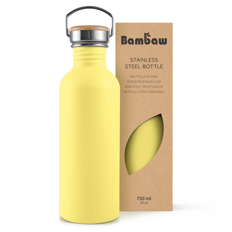 Stainless Steel Water Bottle