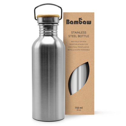 Stainless Steel Bottle