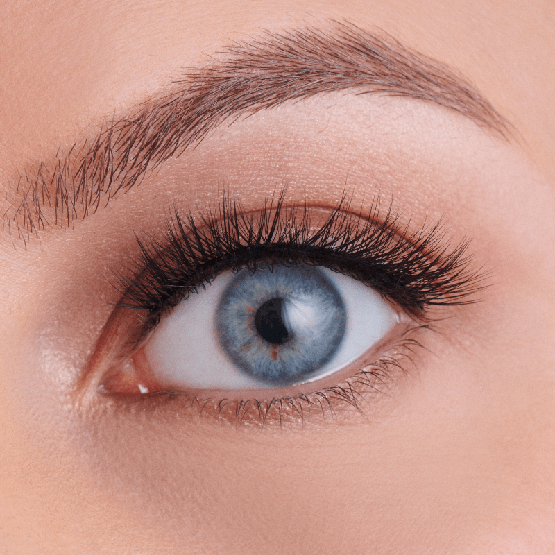 True Glue False Eco-Chic Eyelashes - Orchid