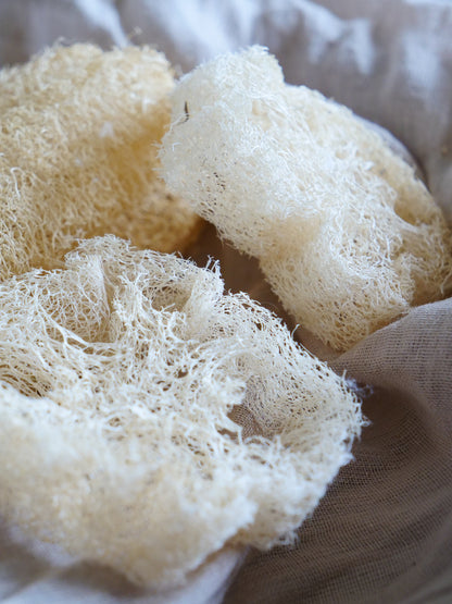 Raw loofah with cordon