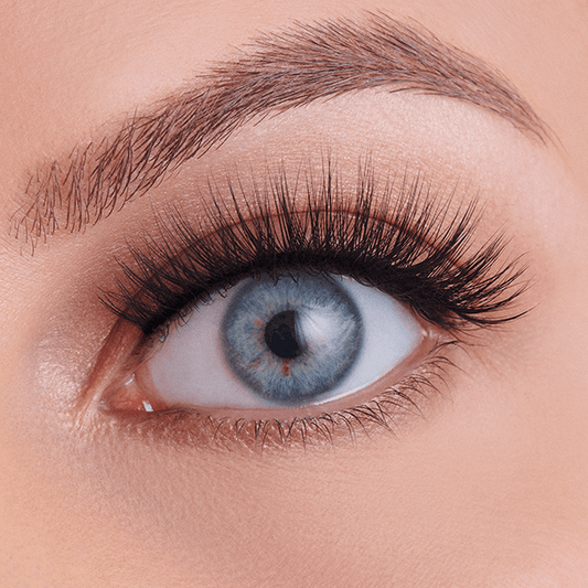True Glue Vegan Silk Lashes – Saturday Night Fever