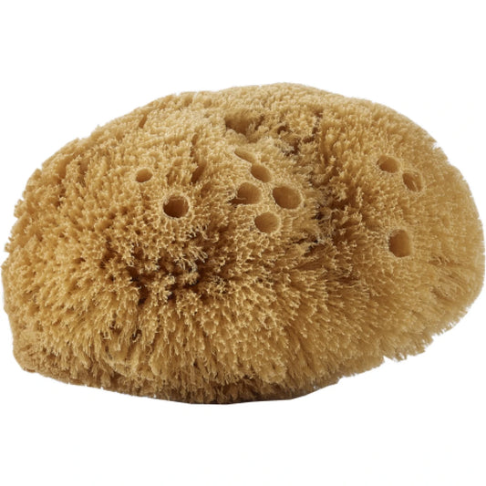 Natural Body Sponge